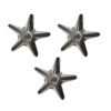 Bajaj Auto Wheel Cap Star S1